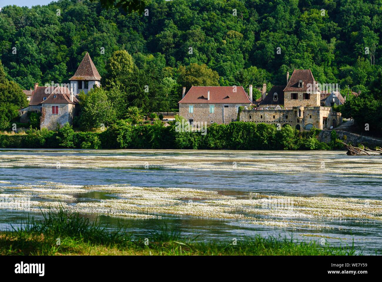 Francia, Dordogne, Badefols sur Dordogne lungo il fiume Dordogna Foto Stock