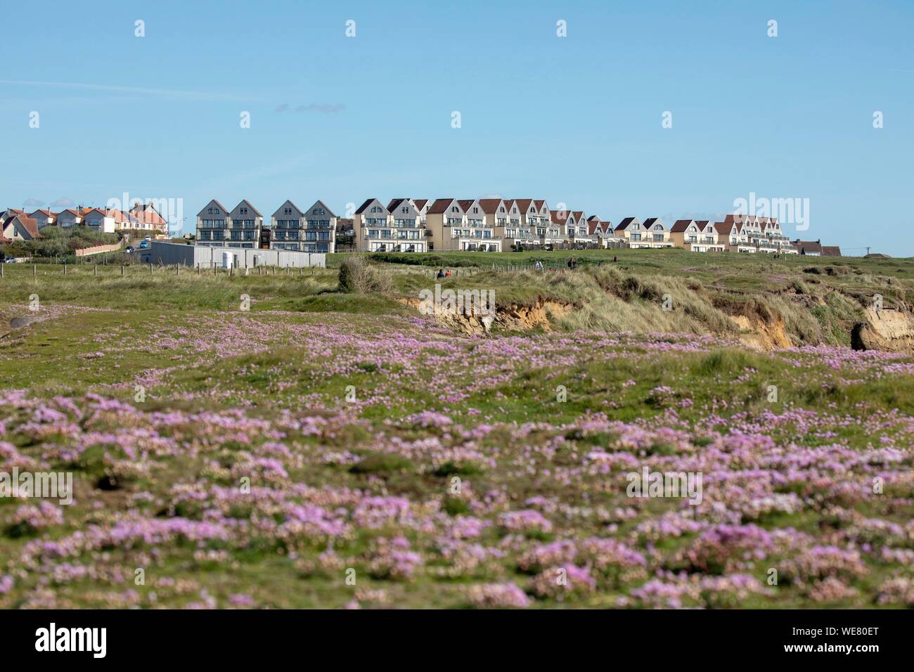 Francia, Pas de Calais, della Costa d'Opale,, Wimereux, Nordic case ricoperte di legno di fronte al mare Foto Stock