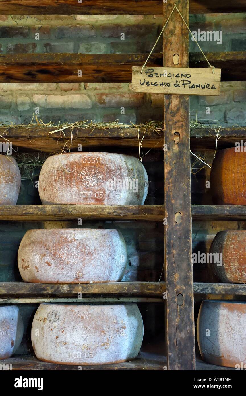 L'Italia, Emilia Romagna, Polesine Zibello vicino a Parma, Antica Corte Pallavicina, ruote di Parmigiano Reggiano Foto Stock