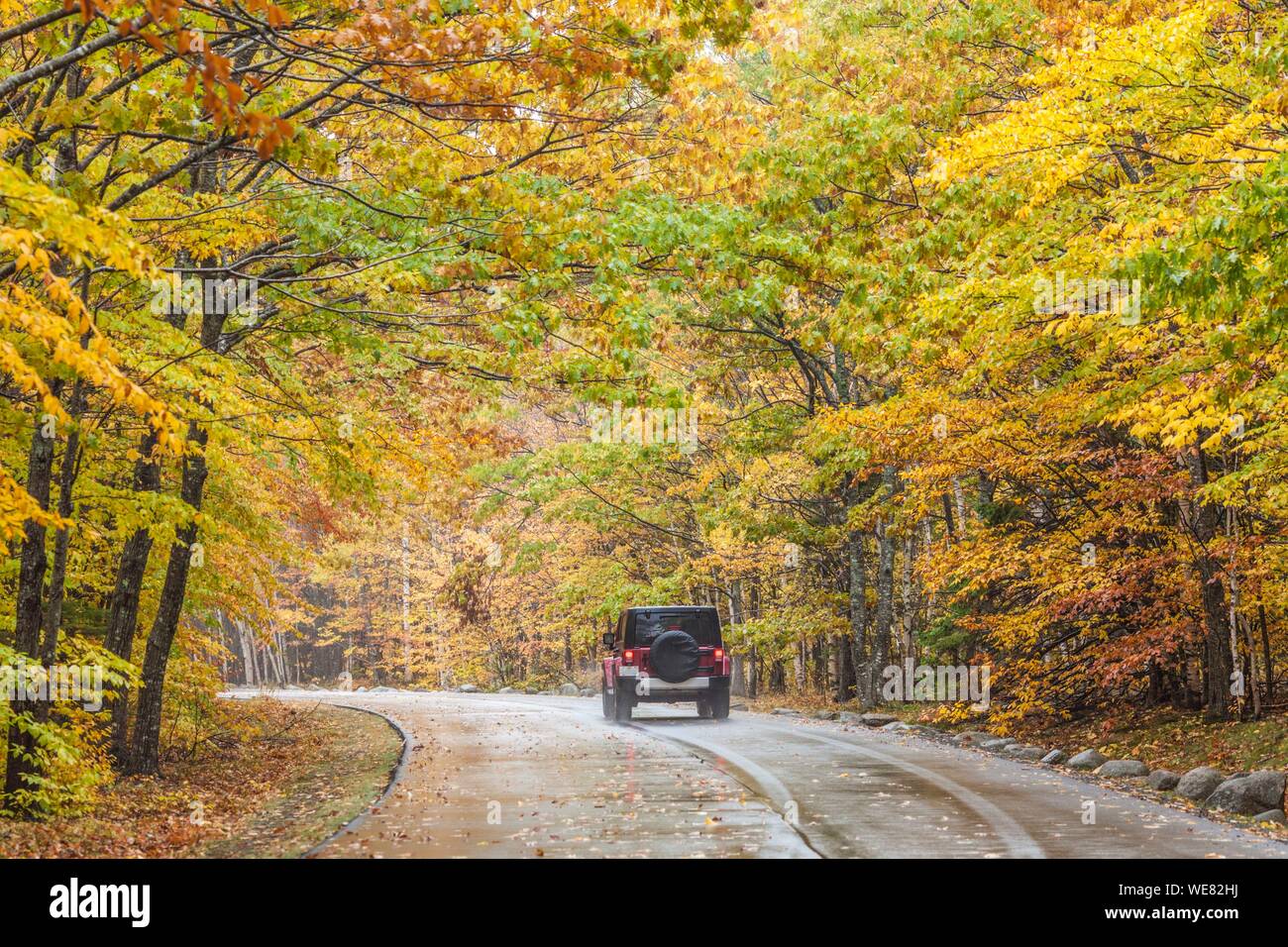 Stati Uniti, Maine, Mt. Isola deserta, Parco Nazionale di Acadia, autunno, Park road Foto Stock