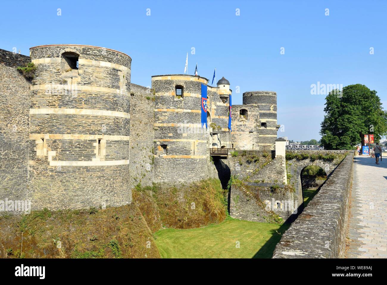 Francia, Maine et Loire, Angers, il castello dei duchi di Angiò costruito da Saint Louis Foto Stock