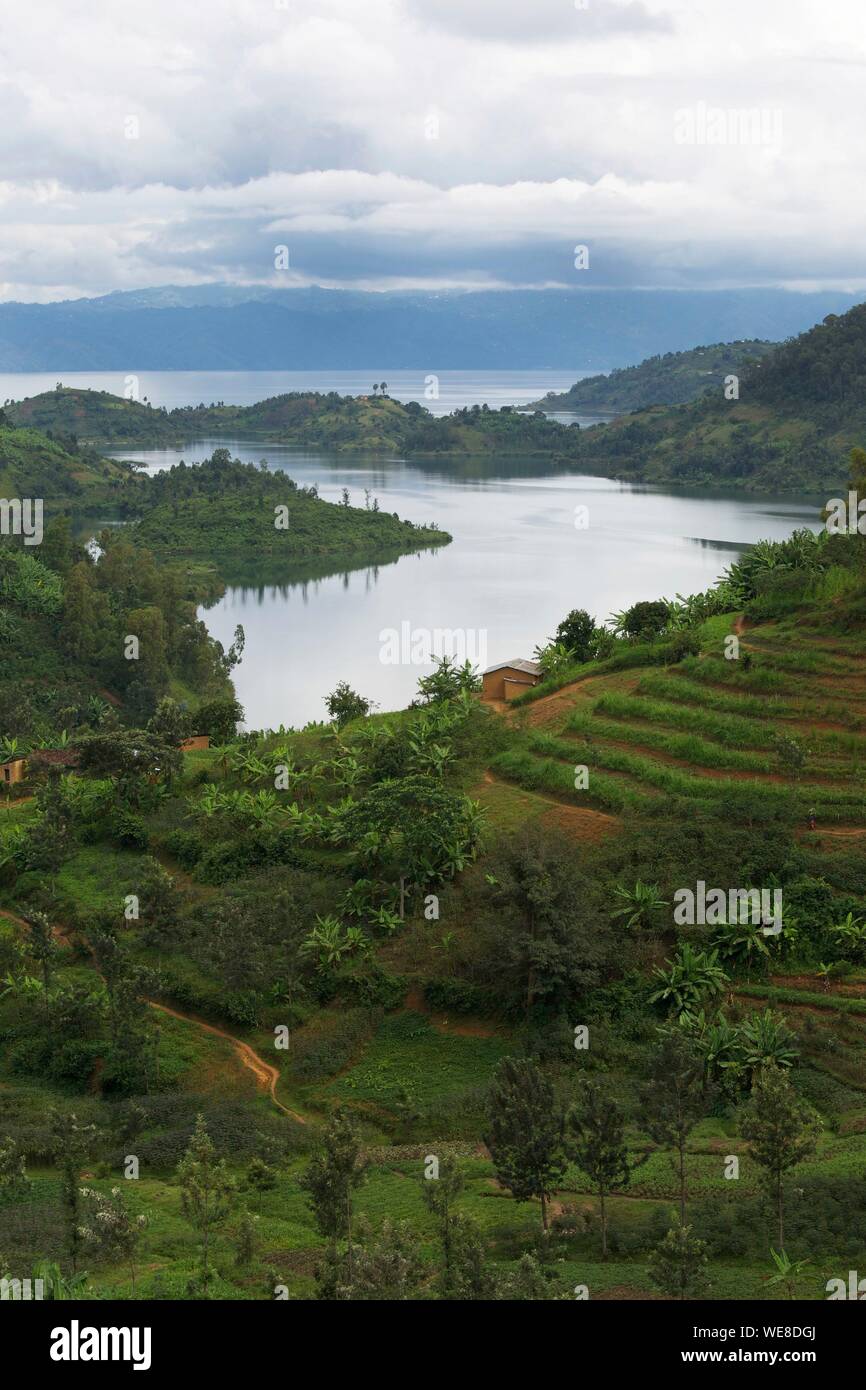 Il Ruanda, il lago Kivu, verdi colline su una sponda del lago Kivu, sul confine con la Repubblica democratica del Congo Foto Stock