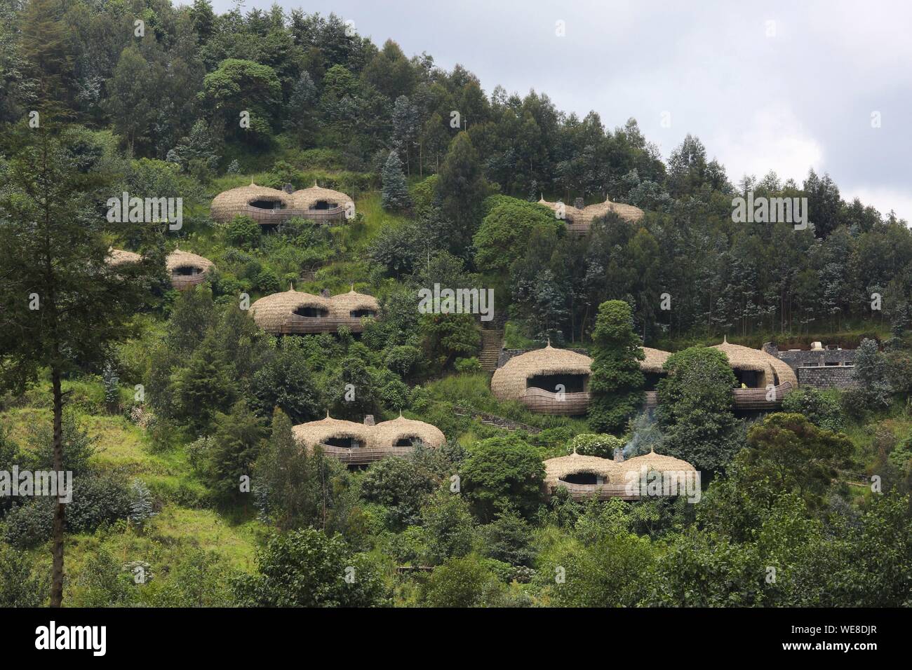 Ruanda, Parco Nazionale Vulcani, con tetto di paglia di ville di Bisote lodge del Wildreness Safaris hotel group, emergenti da una collina ricoperta di vegetazione Foto Stock