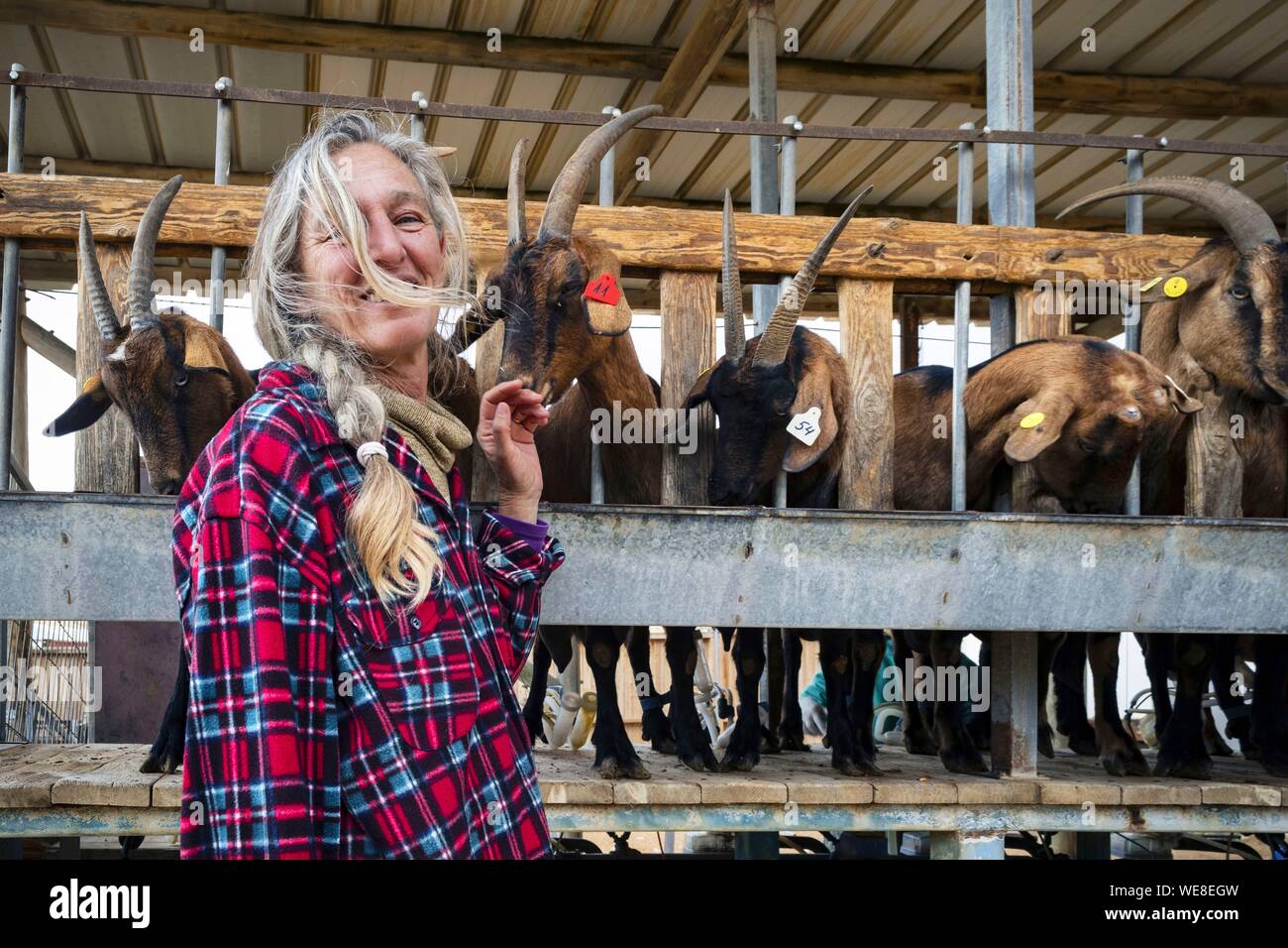 Israele, Distretto Sud, donna proprietario di una zona agricola di Mitzpe Ramon Foto Stock