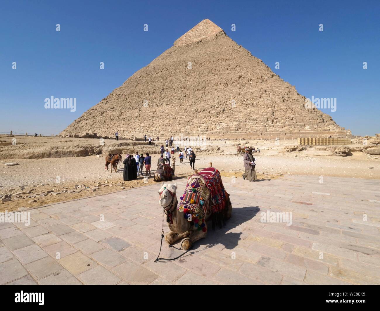 L'Egitto, al Cairo, Giza, Sito Patrimonio Mondiale dell'UNESCO, camel driver nella parte anteriore della piramide di Khephren Foto Stock
