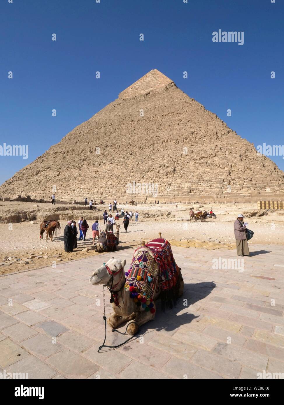 L'Egitto, al Cairo, Giza, Sito Patrimonio Mondiale dell'UNESCO, camel driver nella parte anteriore della piramide di Khephren Foto Stock