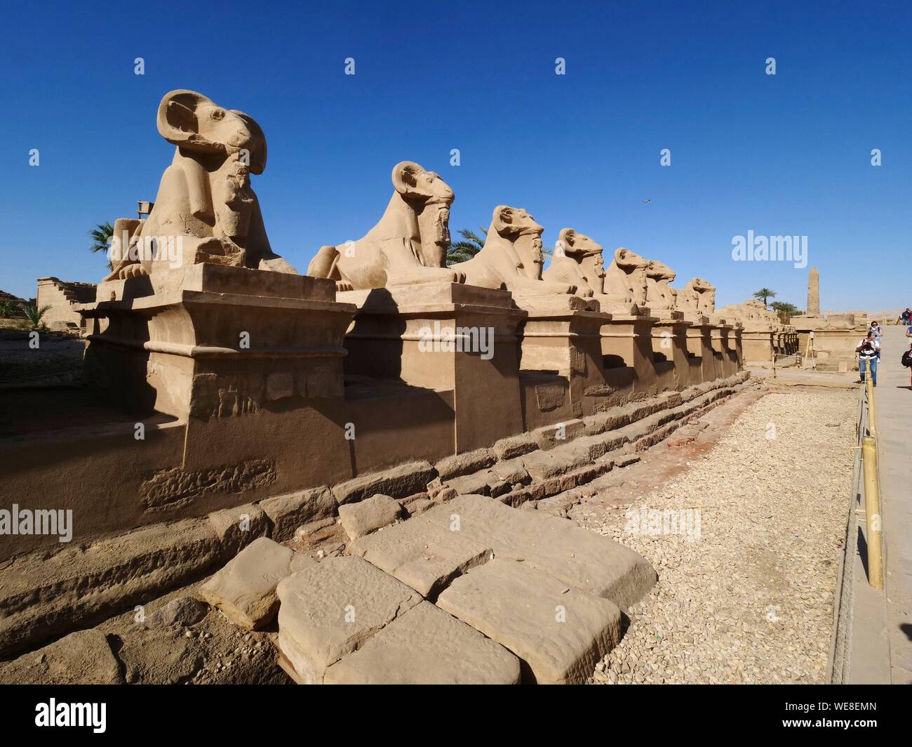 Egitto Alto Egitto, Valle del Nilo, Luxor, Karnak classificato come patrimonio mondiale dall' UNESCO, il tempio dedicato al dio Amon, vicolo di criosphinx (lion il corpo e la ram di testa), animale sacro di Amon con il faraone tra le gambe Ramses II come Osiride Foto Stock