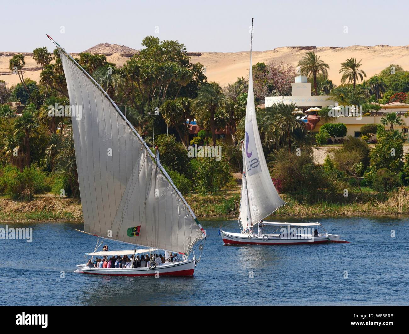 L'Egitto, l'Alto Egitto e la Nubia, Valle del Nilo, Aswan, Traversata in Felucca davanti Isola Elefantina Foto Stock