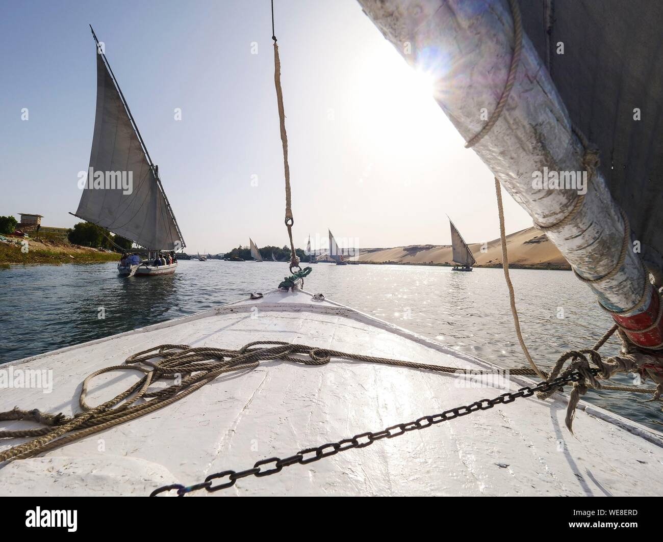 L'Egitto, l'Alto Egitto e la Nubia, Valle del Nilo, Aswan, Traversata in Felucca davanti Isola Elefantina Foto Stock