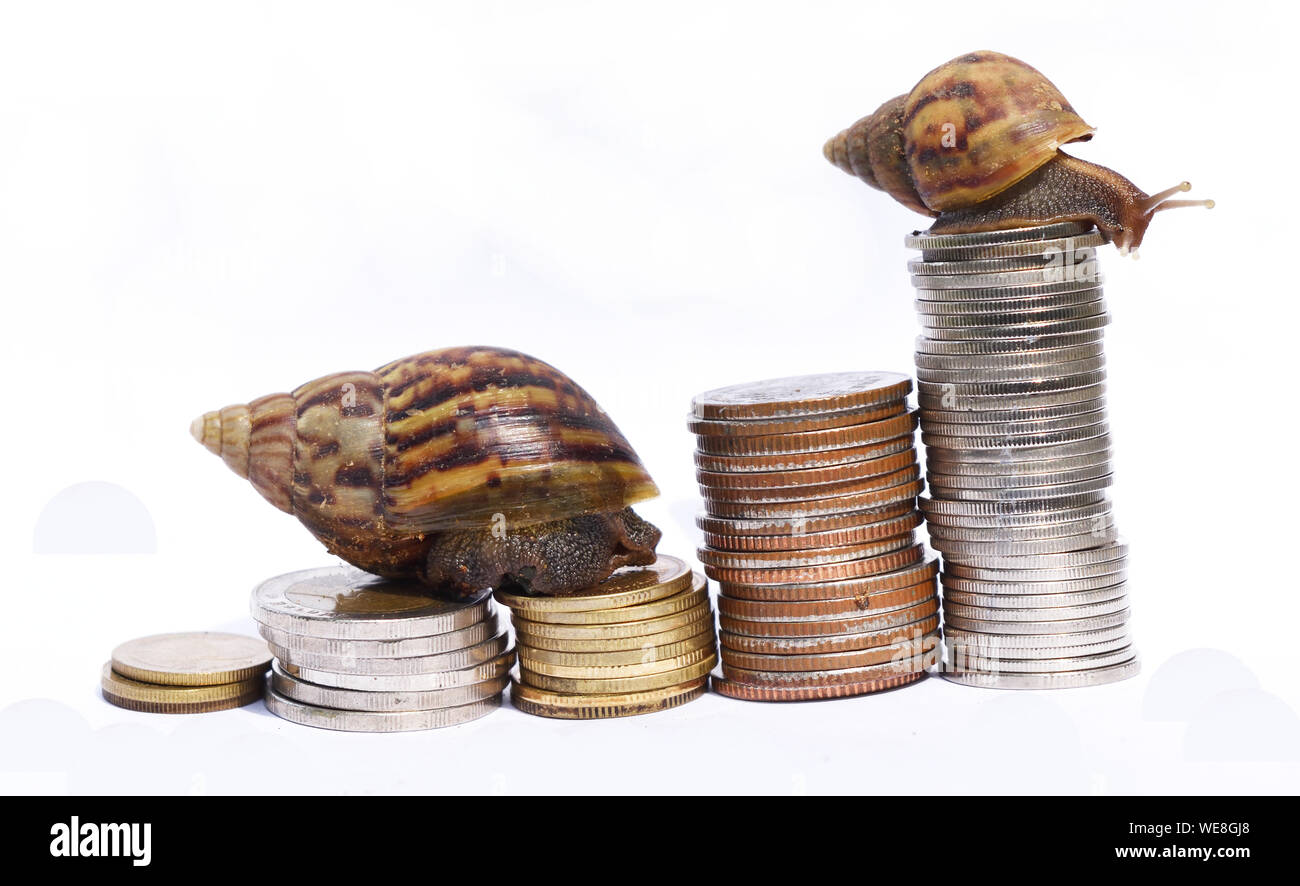 Due arrampicata lumaca pila di monete su sfondo bianco , la vittoria e il successo dalla pazienza mentre un rallentamento della crescita economica, concorrenza in cui piccolo gruppo Foto Stock