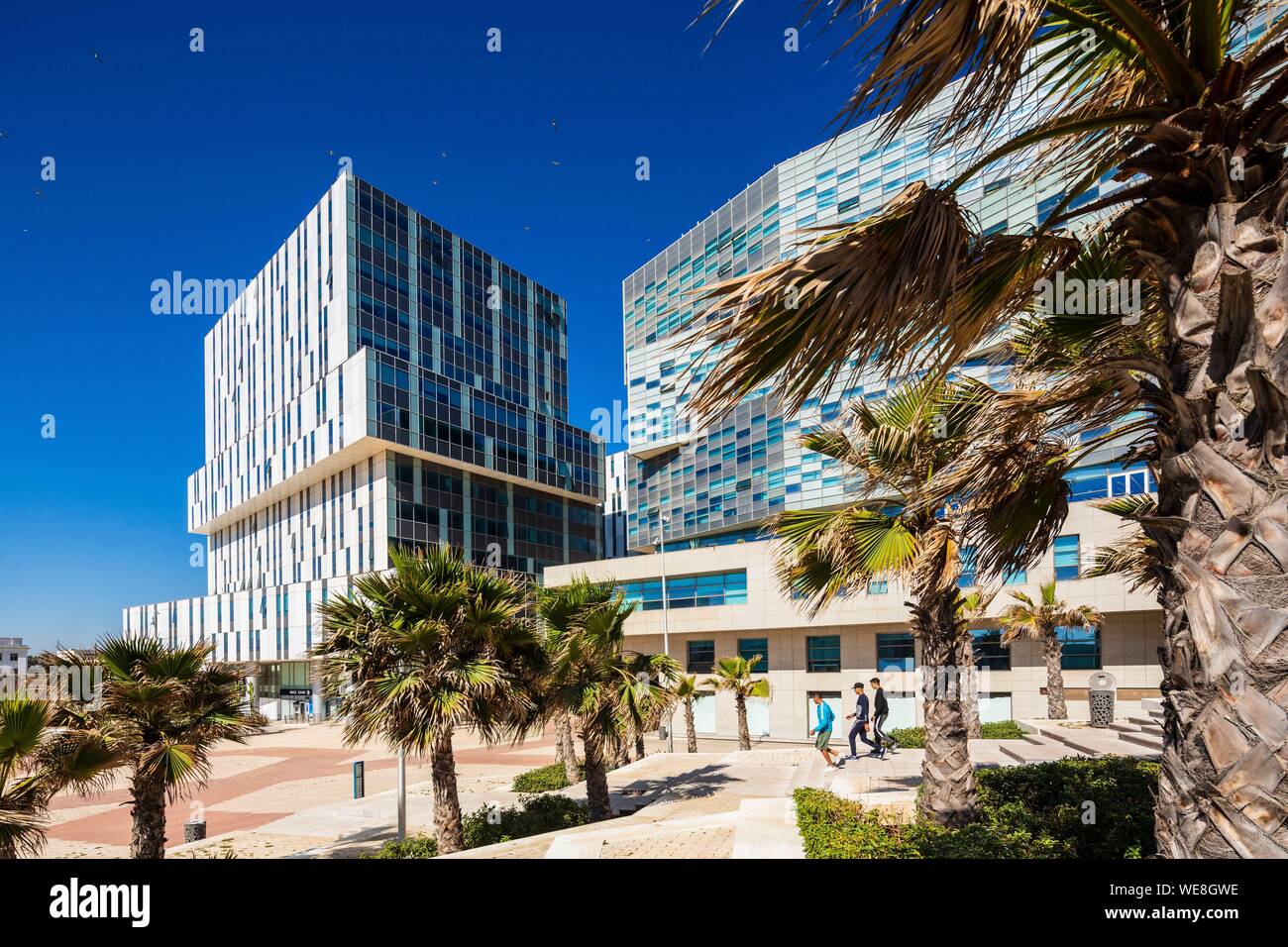 Il Marocco, Casablanca, nuovo quartiere all'estremità occidentale della Marina, il cristallo o torri d'Avorio Foto Stock