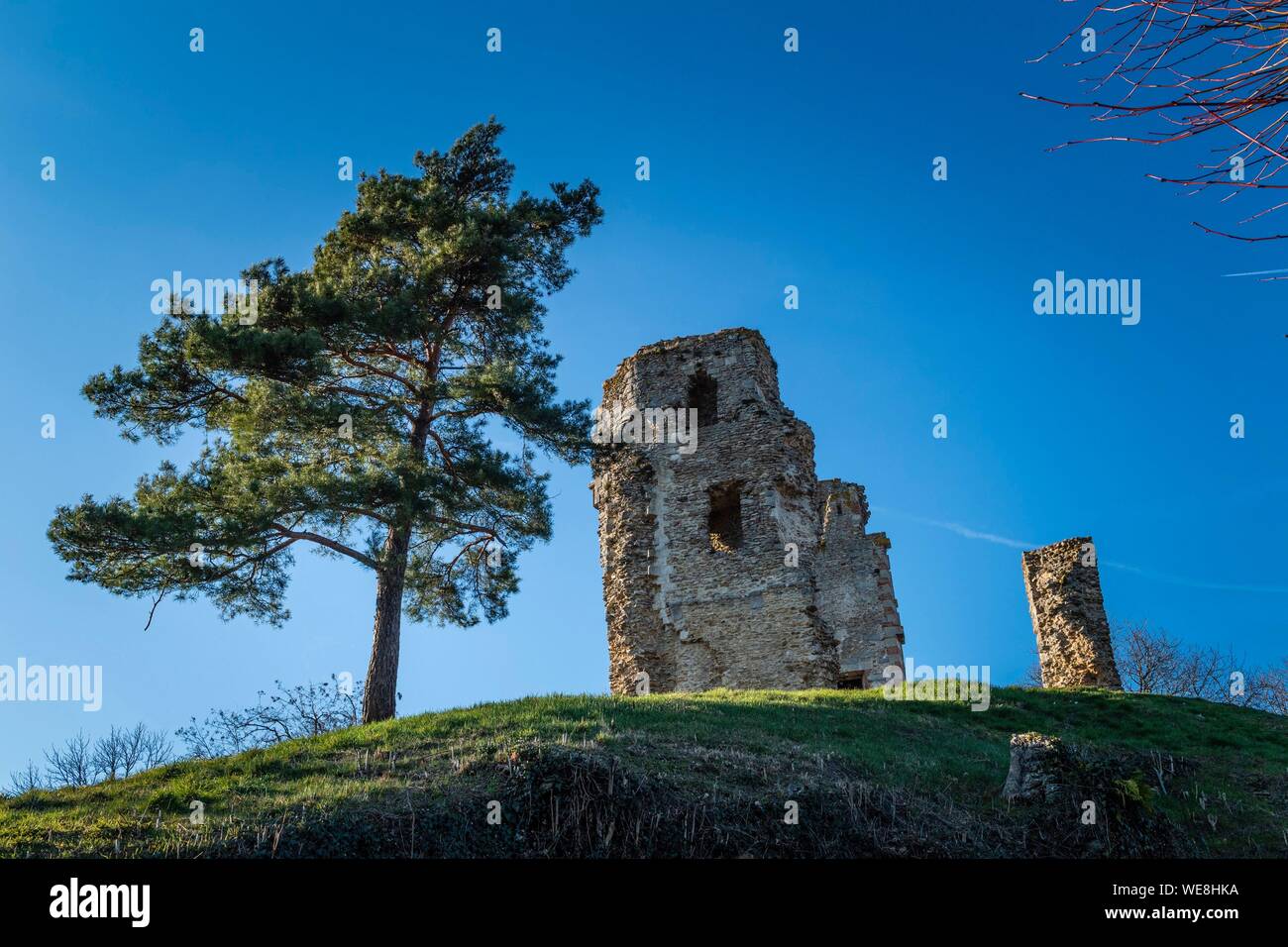 Francia, Yvelines (78), di Montfort-l'Amaury, castello fortificato costruito nel XII secolo Foto Stock