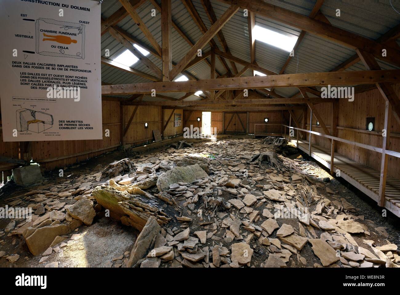 Francia, Haute Saône, Aillevans, dolmen del Bois de Blusseret, sepoltura collettiva risalente al Neolitico Foto Stock