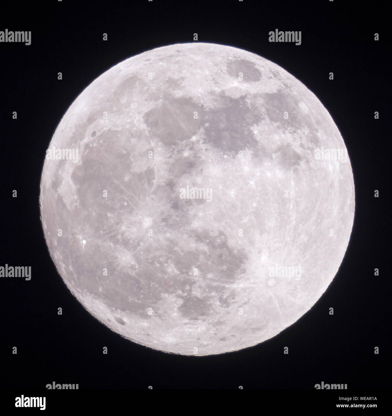 Luna piena, fullmoon brilla luminoso , Silver light, chiudi chiaro buia notte invernale, sembra vicino, supermoon, vista dettagliata, Gennaio, 2019. Foto Stock