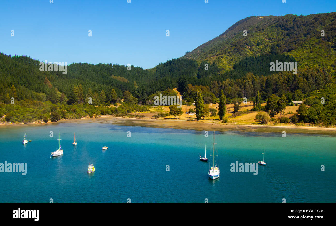 Nuova Zelanda bellissimo paesaggio, Port Chalmers Foto Stock