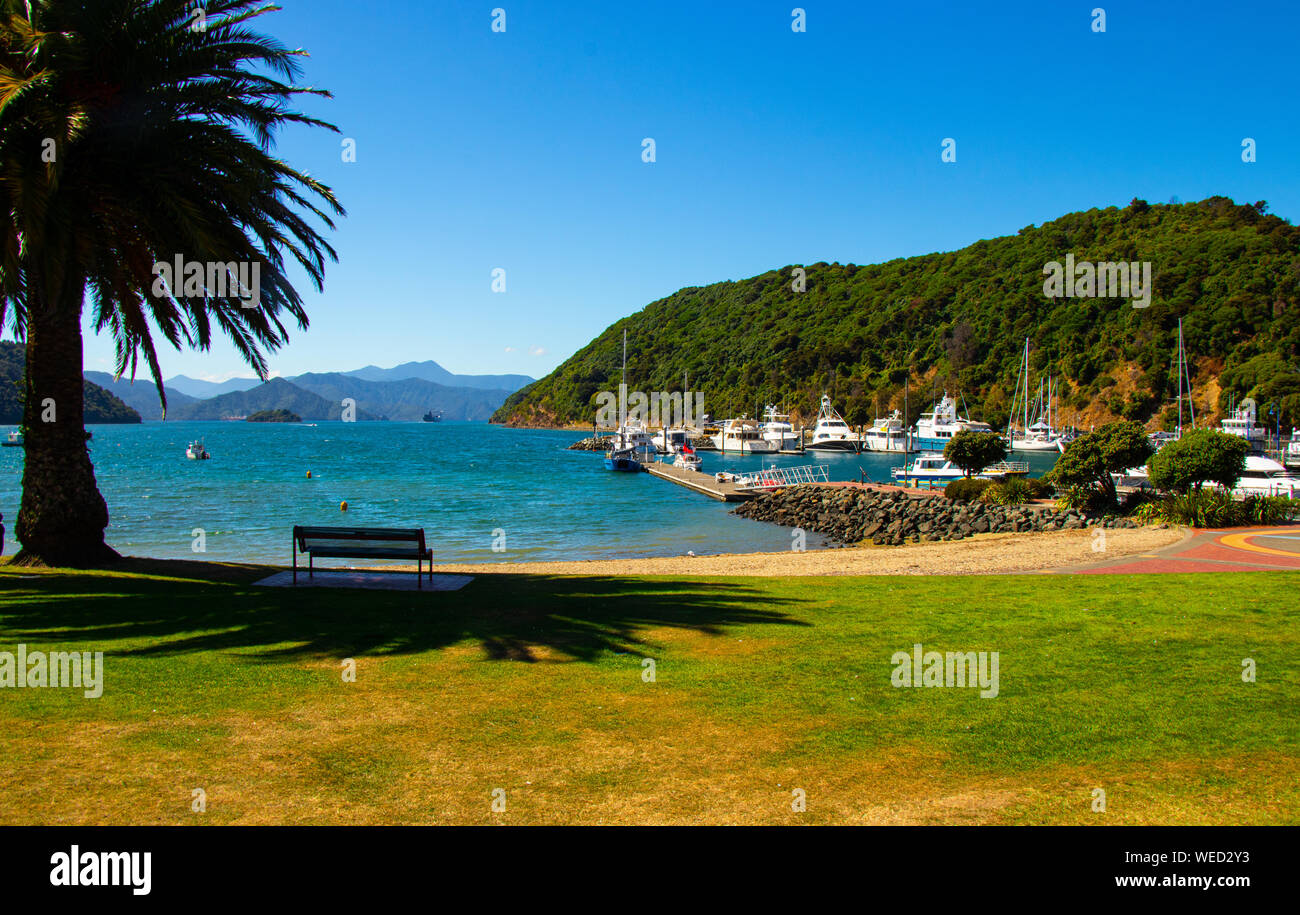 Nuova Zelanda bellissimo paesaggio, Picton Foto Stock