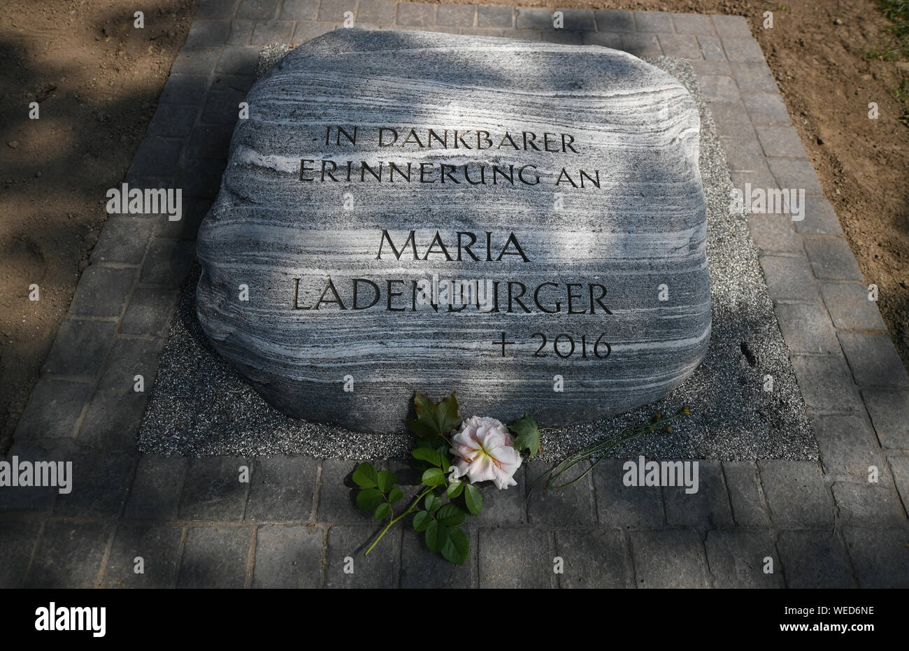 Freiburg, Germania. Il 30 agosto, 2019. Una rosa si trova di fronte a una lapide con la scritta "In grata memoria di Maria Ladenburger, morì 2016' vicino al fiume Dreisam. Il circolo di amici e il pastore dell'Università di Friburgo aveva suggerito la lapide alla 2016 studente ucciso Maria. Esso è stato costruito con il sostegno della città di Friburgo. I genitori di ucciso studente fondò la 'Maria Ladenburger Fondazione' nella primavera 2018. La fondazione sostiene gli studenti presso l'Università di Friburgo in situazioni difficili. Credito: Patrick Seeger/dpa/Alamy Live News Foto Stock