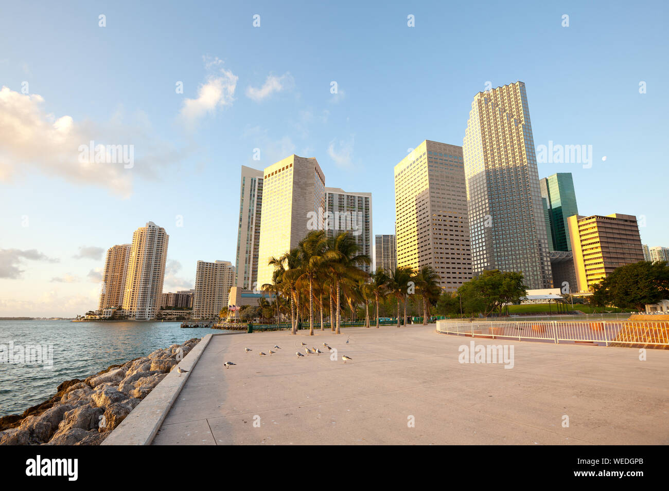 Bayfront Park e la skyline del centro, Miami, Florida, Stati Uniti d'America Foto Stock