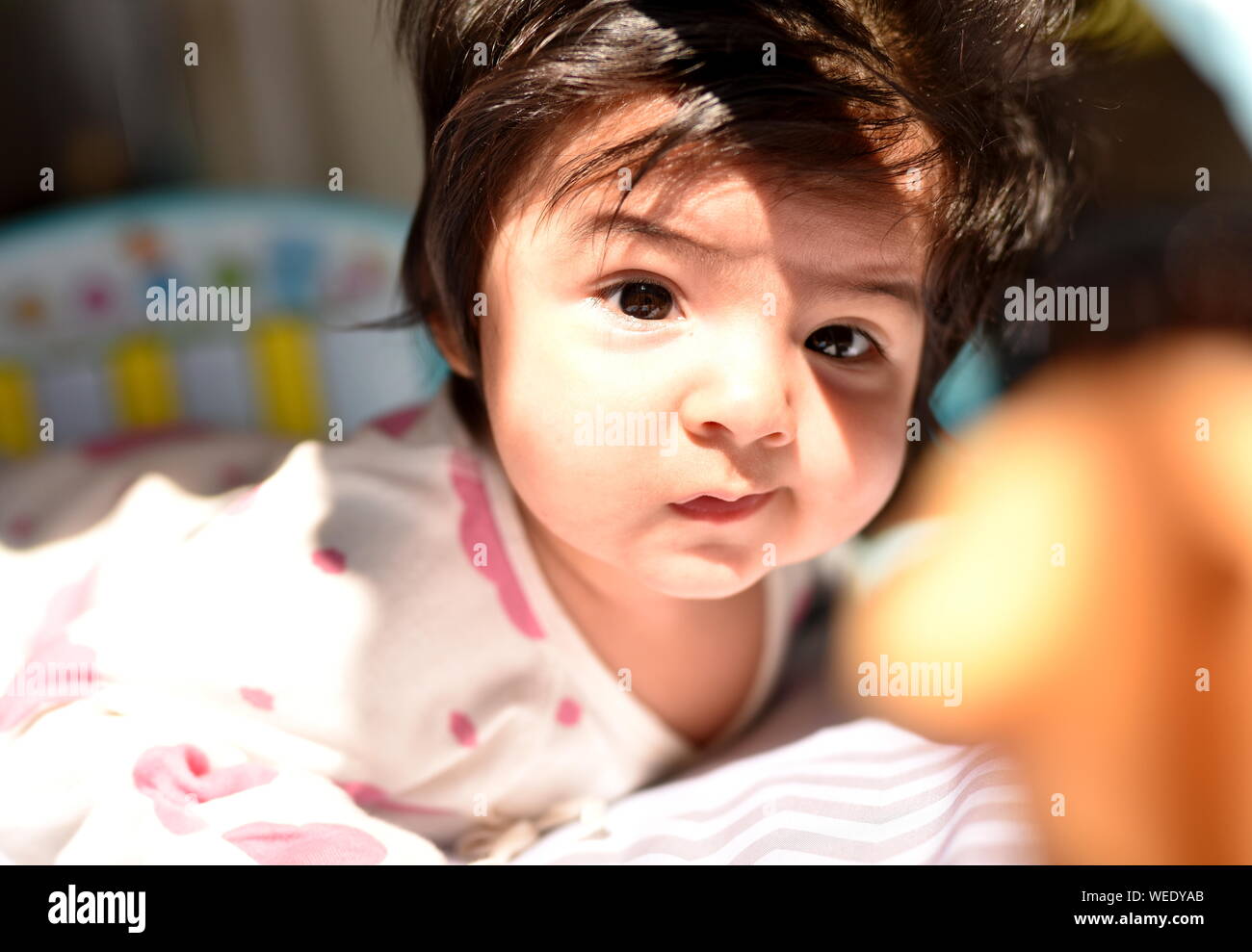 Carino razza mista bambina guarda con attenzione alla telecamera tra i suoi giocattoli in vivaio Foto Stock
