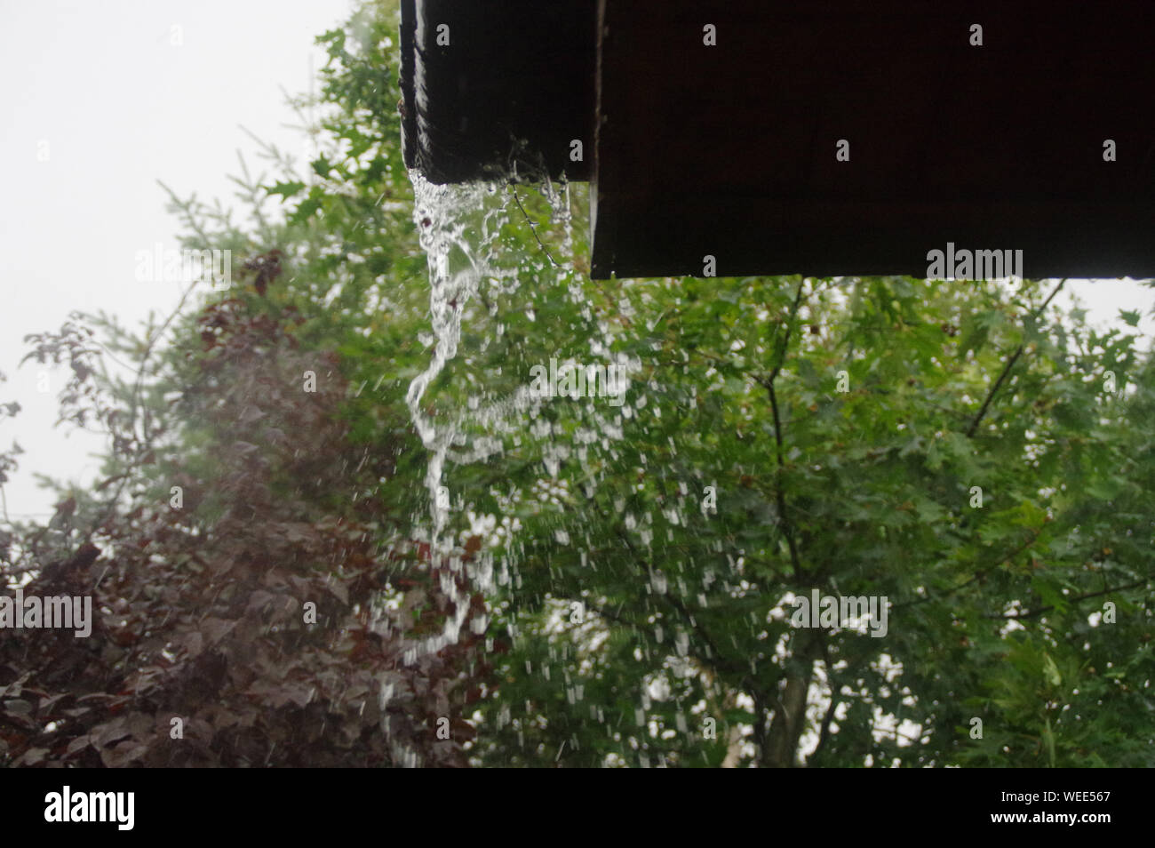 Flusso di acqua viene versata dalla grondaia. Home in pioggia intensivo. Foto Stock