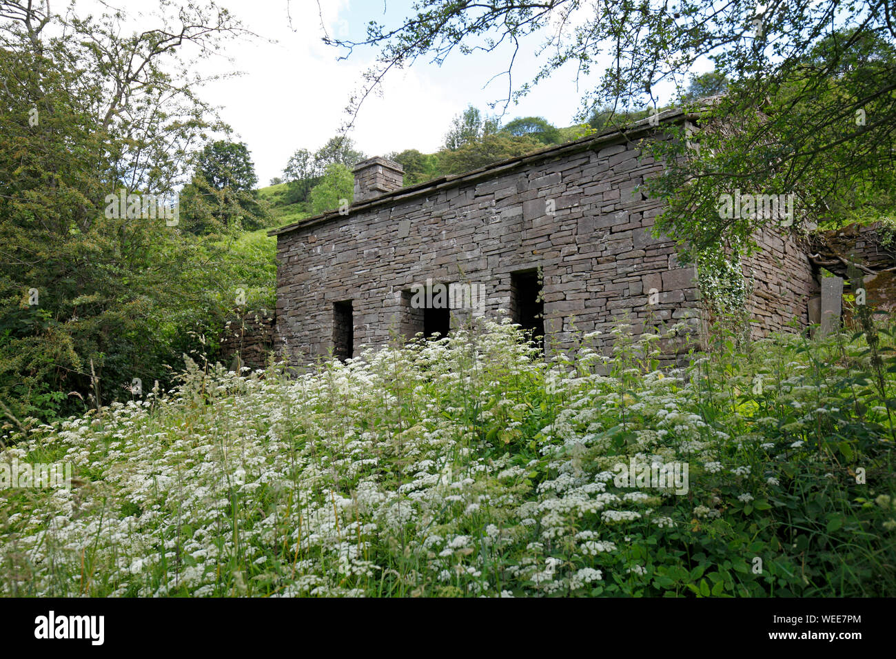 Tradizionale sherpherds gallese capanno fatto nella memoria di Kevin Giovanni Tommaso 36 anni.Mynydd LLangorse, POWYS, GALLES. Foto Stock