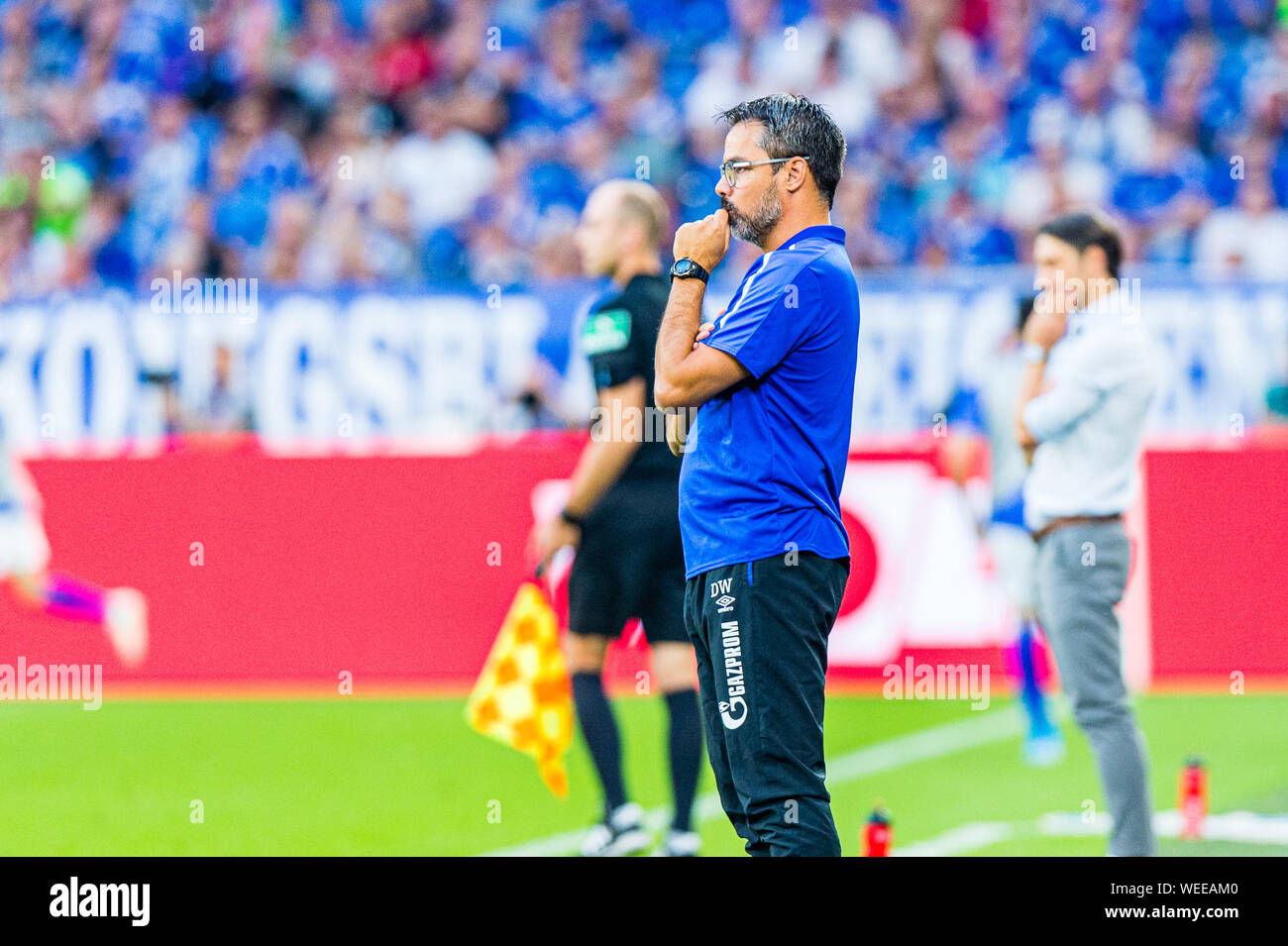 24 augustus 2019 Gelsenkirchen, Germania Soccer Schalke 04 v Bayern Munchen 24-08-2019: Voetbal: Schalke 04 v Bayer Munchen: Gelsenkirchen L-R FC Schalke 04 allenatore David Wagner Foto Stock