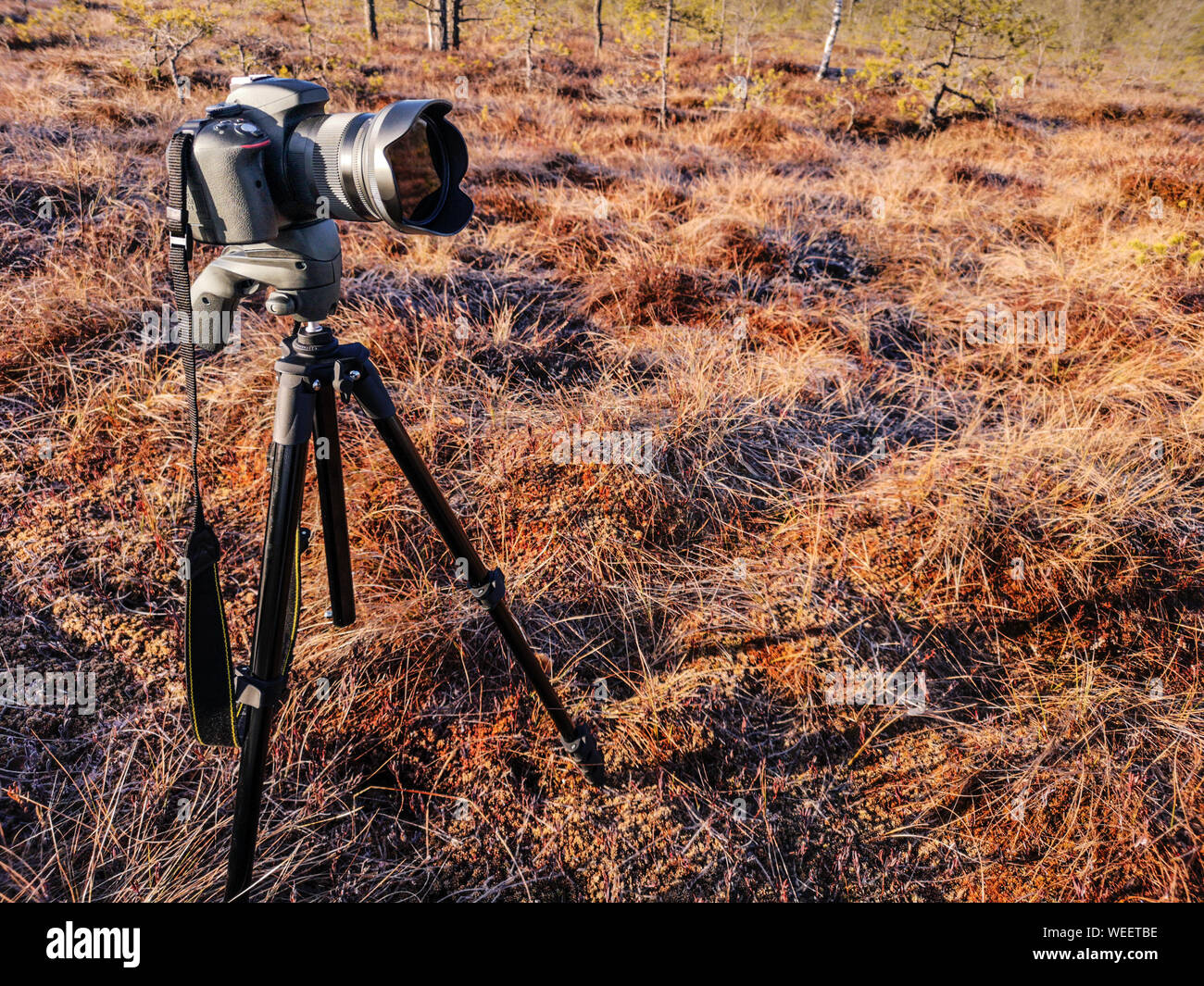Impostare la fotocamera su un treppiede outdoor presso sunrise. apparecchiature per un fotografo di paesaggio. Foto Stock