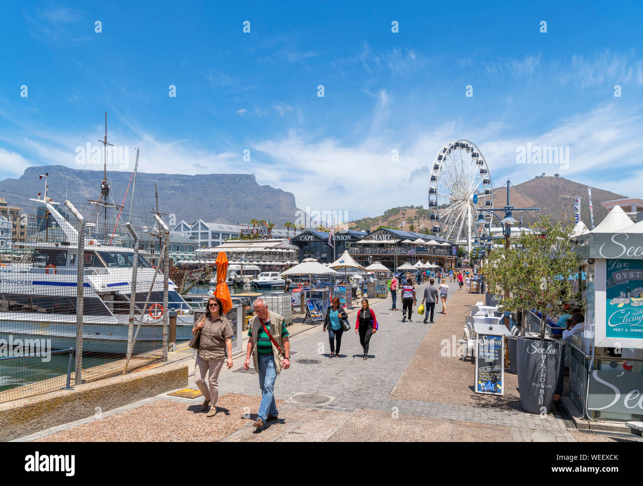 Il V & A Waterfront e guardando verso la Table Mountain e Cape ruota, Cape Town, Western Cape, Sud Africa Foto Stock