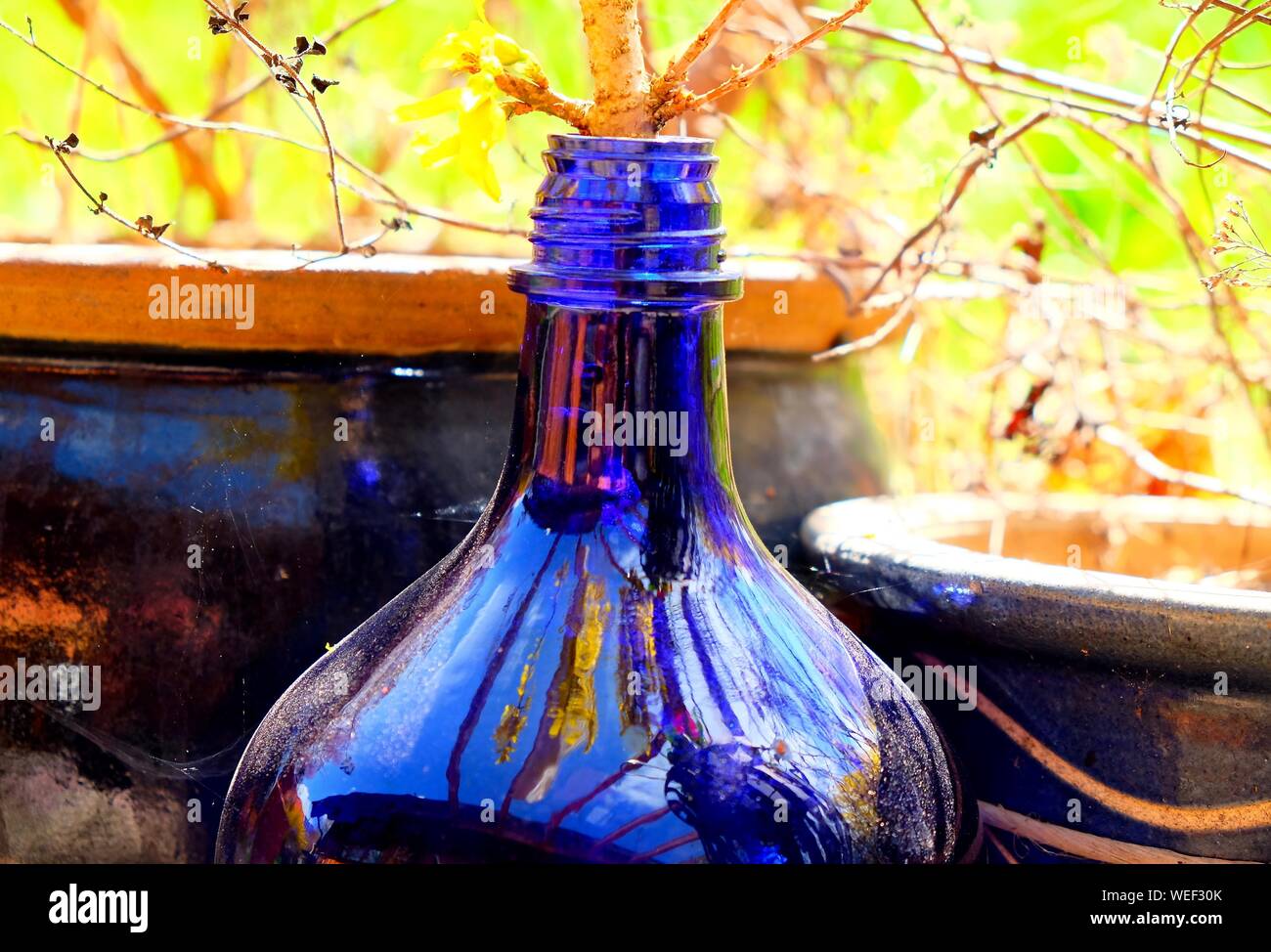 Close-up di bottiglia blu Foto Stock