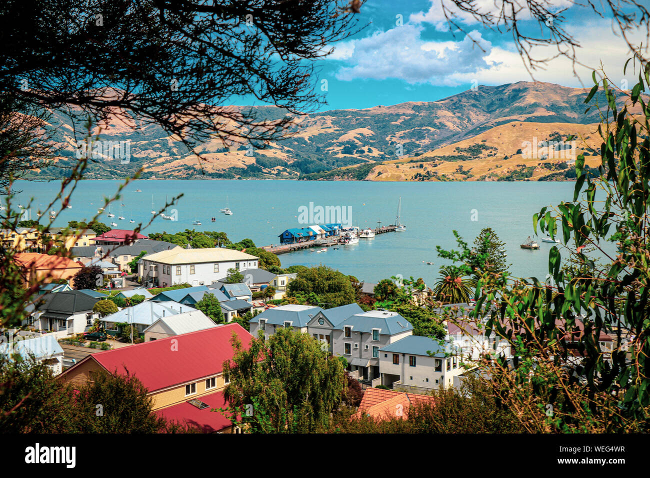 Nuova Zelanda bellissimo paesaggio, Akaroa, Christchurch Foto Stock