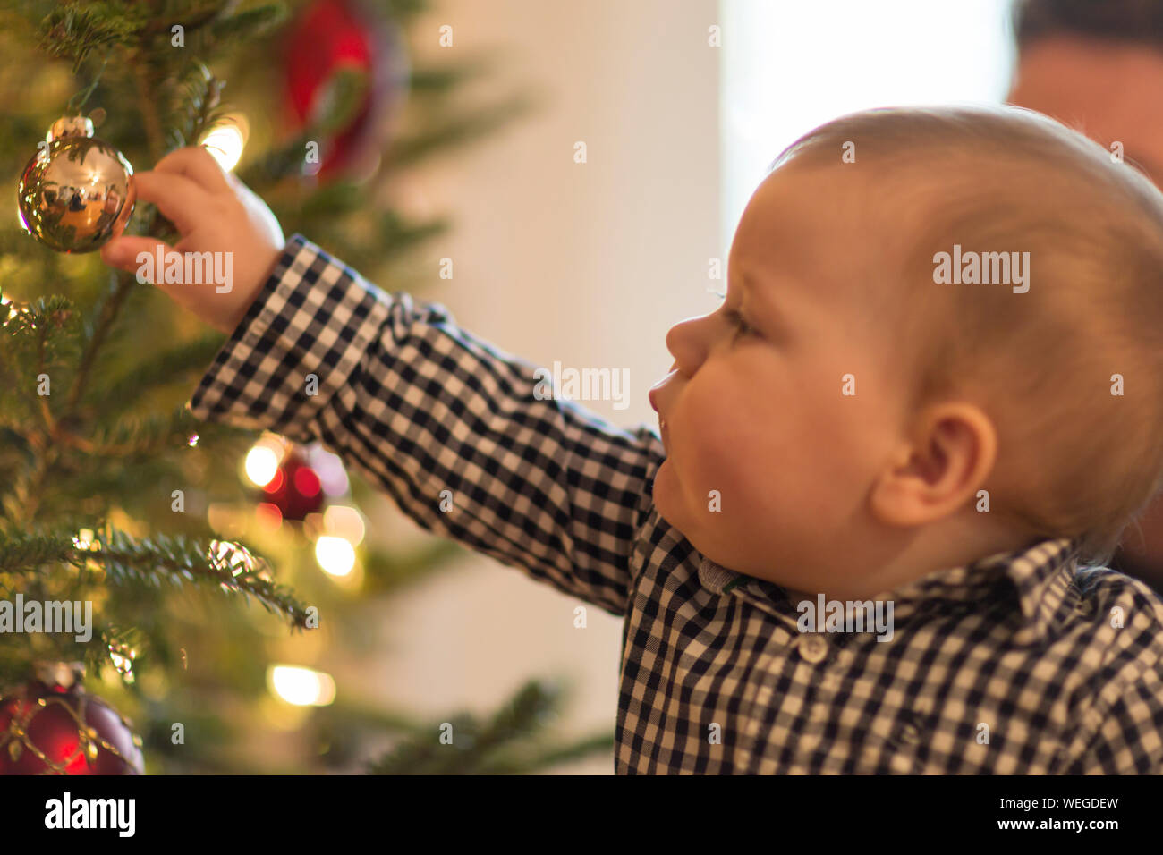 1 anno vecchio ragazzo raggiungendo per la decorazione su albero di Natale Foto Stock