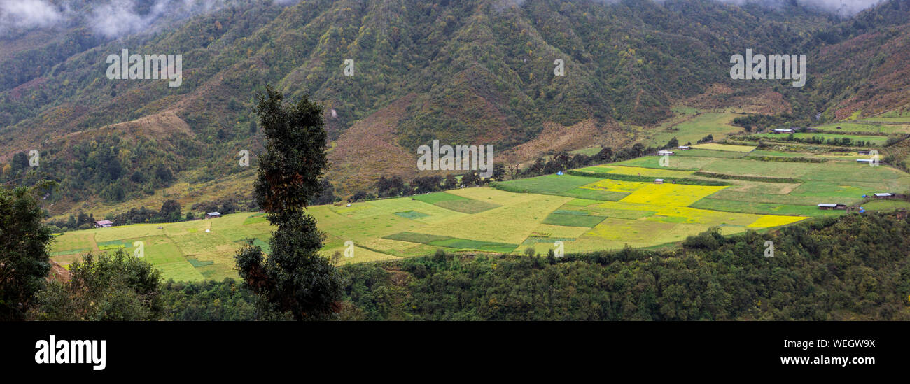 Campi e campi coltivati lungo la strada nel centro di Bhutan, panorama Foto Stock