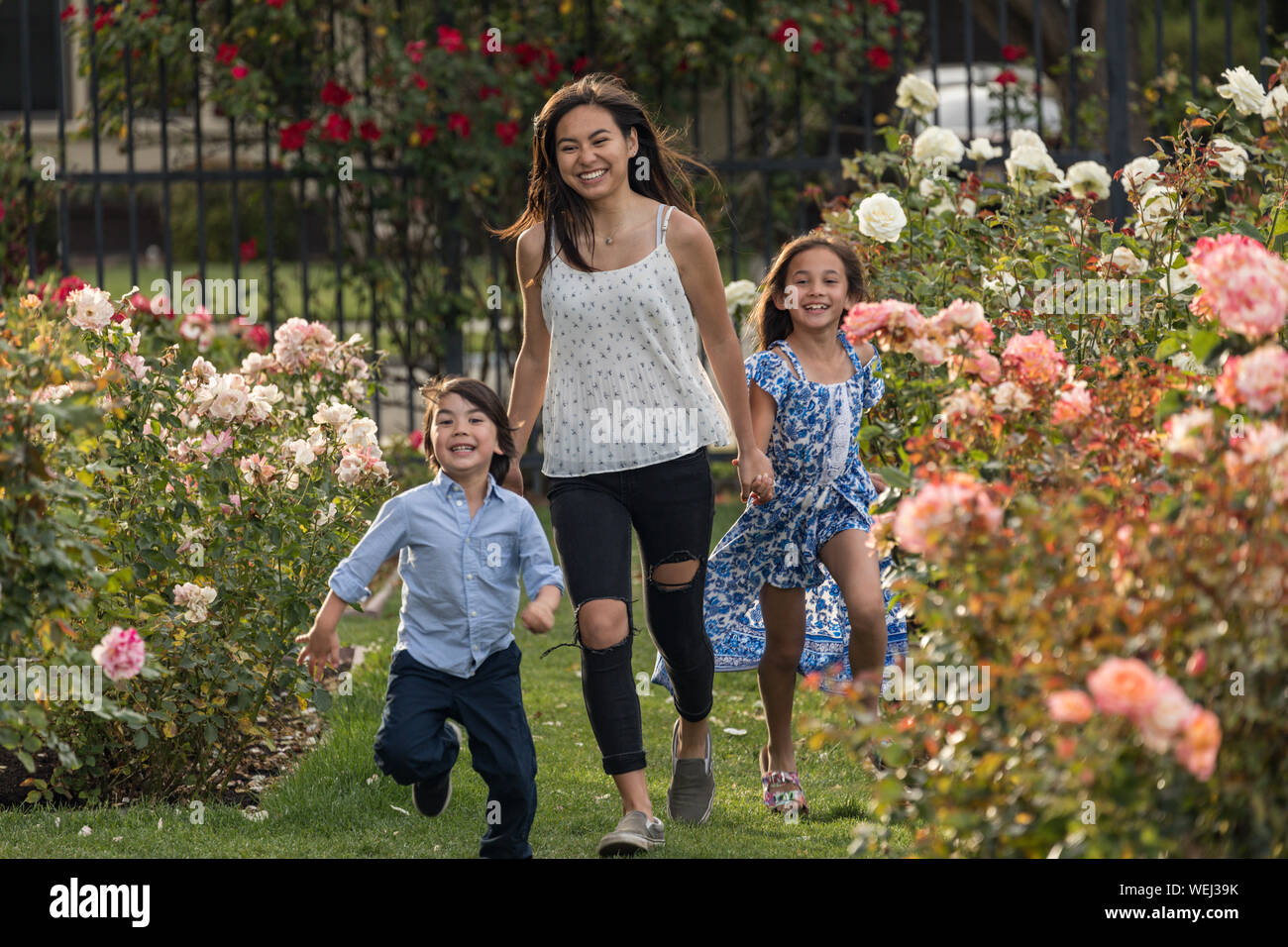 Sorelle e fratelli dell Asia e dell etnia miste in esecuzione e ridere insieme nel giardino di rose, San Jose, California Foto Stock