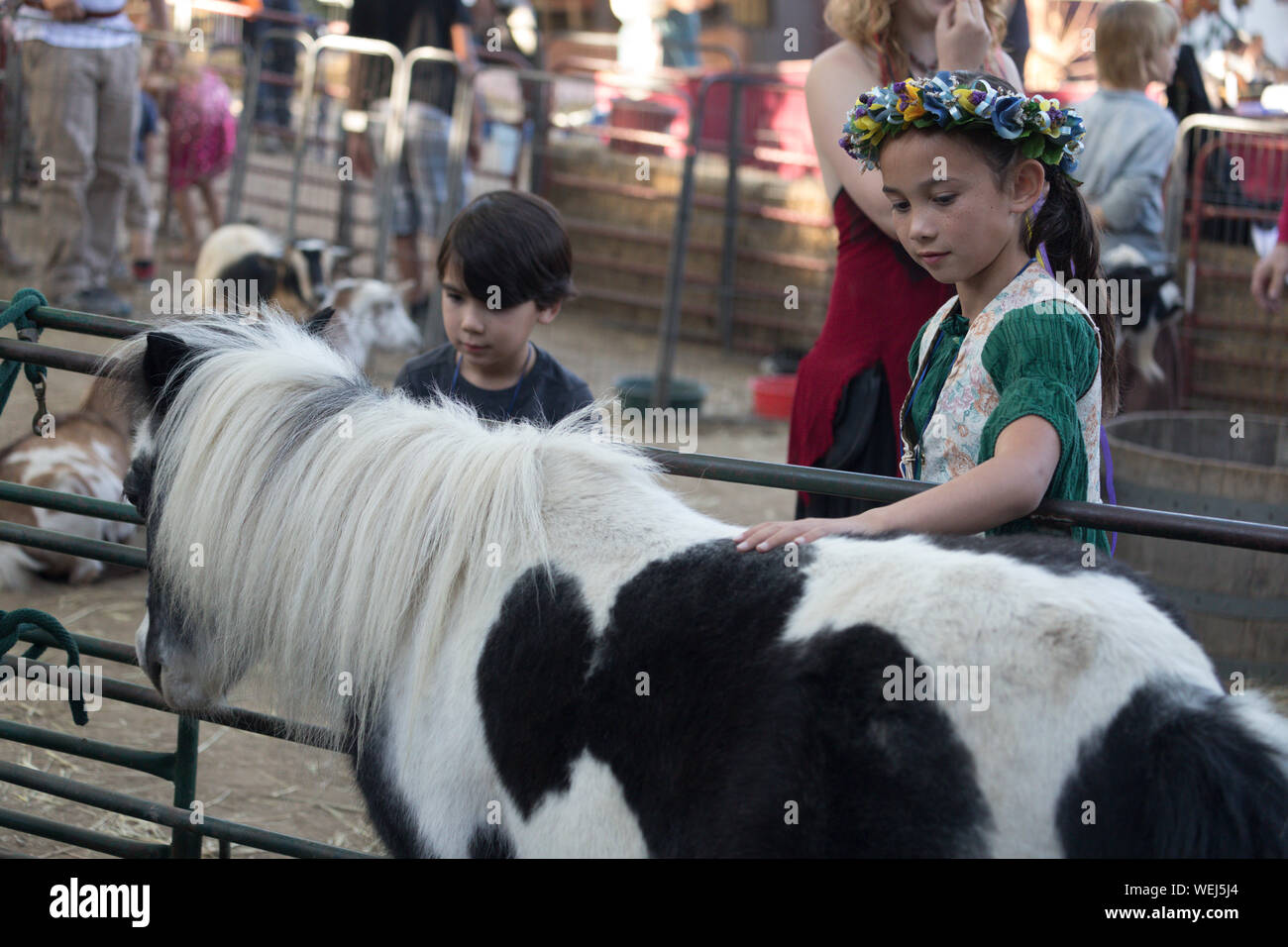 Fratello e Sorella di 5 e 6 anni e 9 anni di aspetto asiatico a petting zoo con pony, Gilroy, California Foto Stock