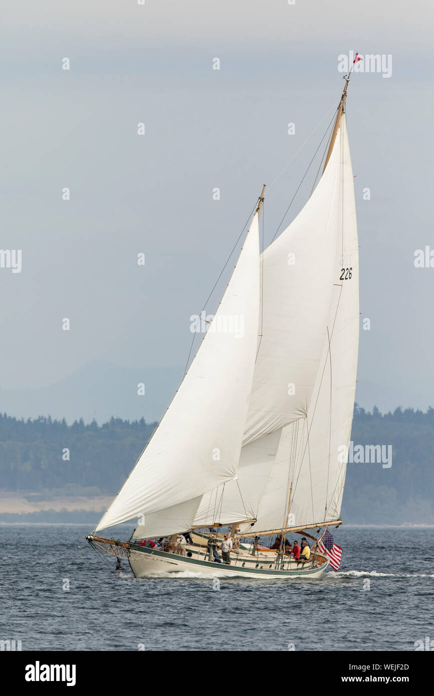 Barca a vela, barca a vela goletta in legno yacht Port Townsend, Puget Sound, Washington. Barca a vela Martha. Foto Stock