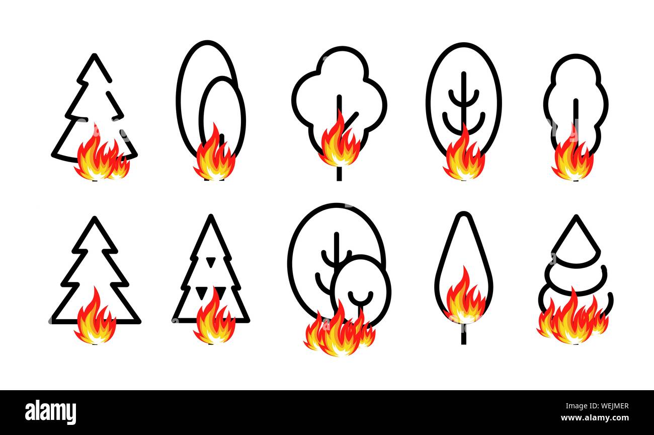 Set di alberi icona con il fuoco, arrestare il falò nella foresta delle icone. Linea stile semplice per una infografica, logo design template, illustrazione vettoriale. Illustrazione Vettoriale