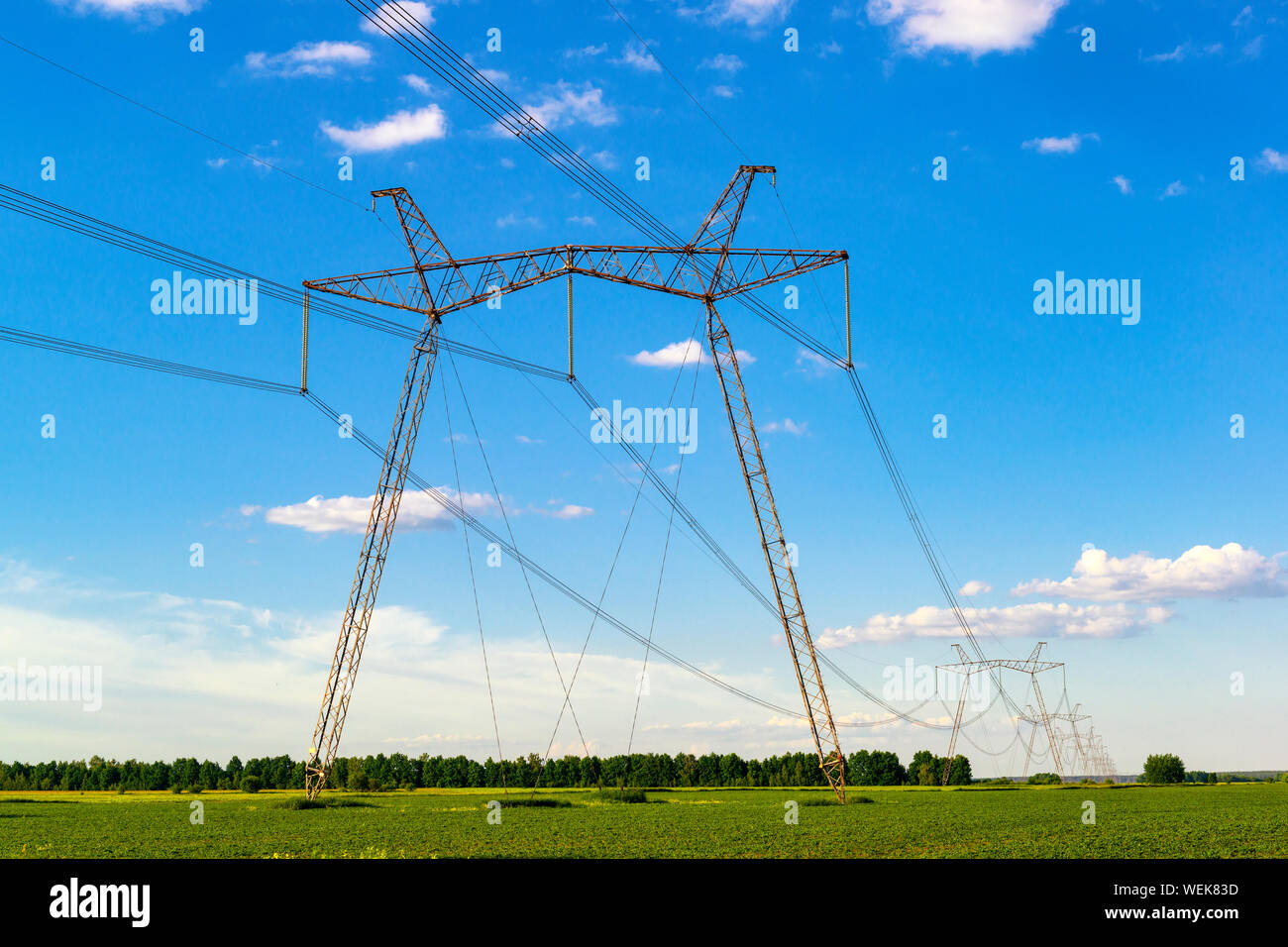 Linee elettriche ad alta tensione. Powerline pali di supporto in corrispondenza della zona di campagna con campi verdi e luminoso cielo blu con nuvole sullo sfondo Foto Stock