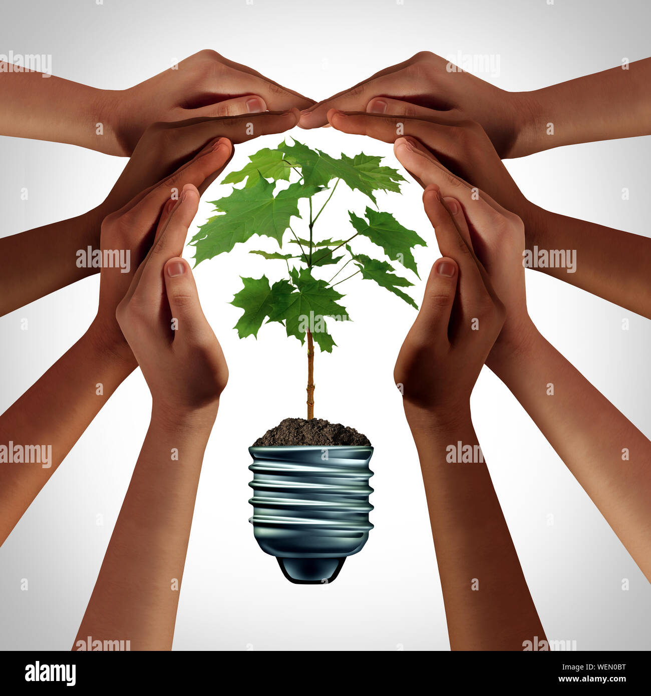 Concetto di ecologia come diverse mani tenendo una pianta verde come un'idea di una società diversificata proteggere l ambiente modellato come un ambientalmente. Foto Stock