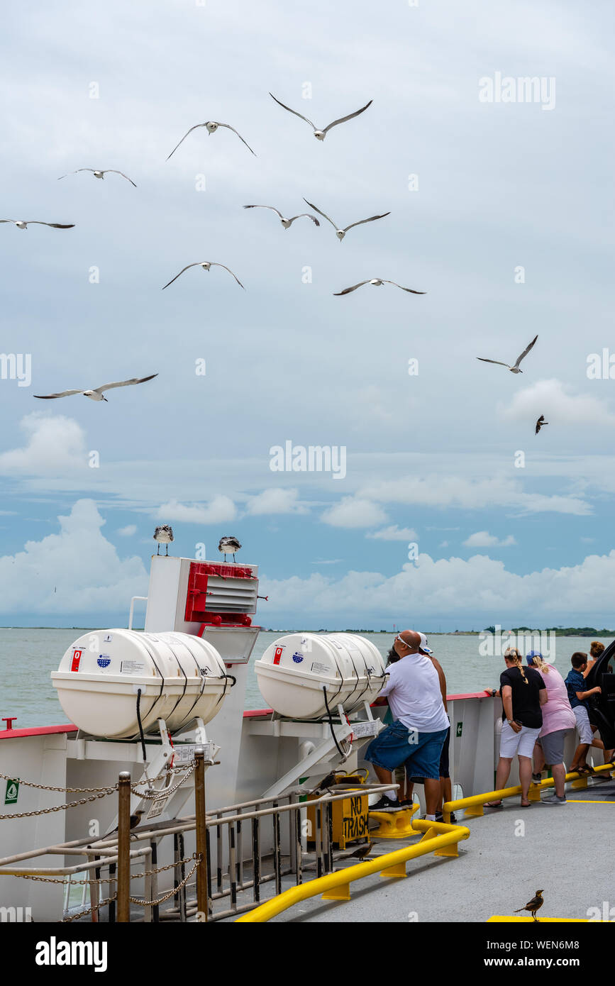 Guardare i passeggeri battenti gabbiani sul traghetto tra Bolivar e Galveston. Texas, Stati Uniti d'America. Foto Stock