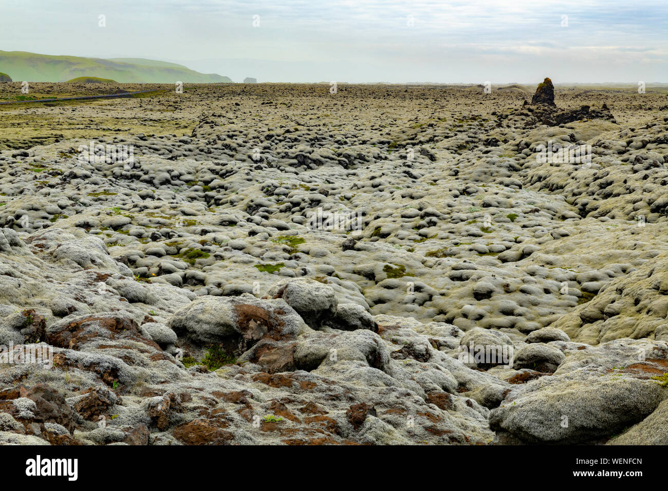 Skaftarhreppur mossy vecchio lavafield e Geoparco vicino Kirkjubaejarklaustur, Islanda Foto Stock