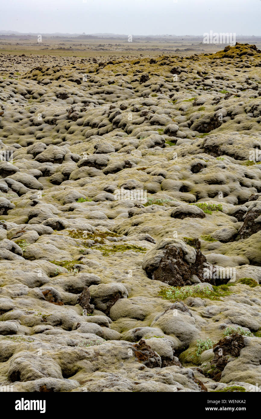 Skaftarhreppur mossy vecchio lavafield e Geoparco vicino Kirkjubaejarklaustur, Islanda Foto Stock