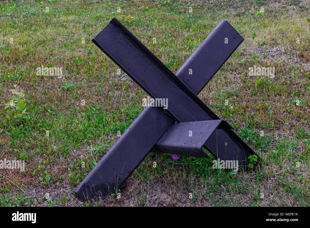 Serbatoio anti barriera sulla superficie di erba Foto Stock