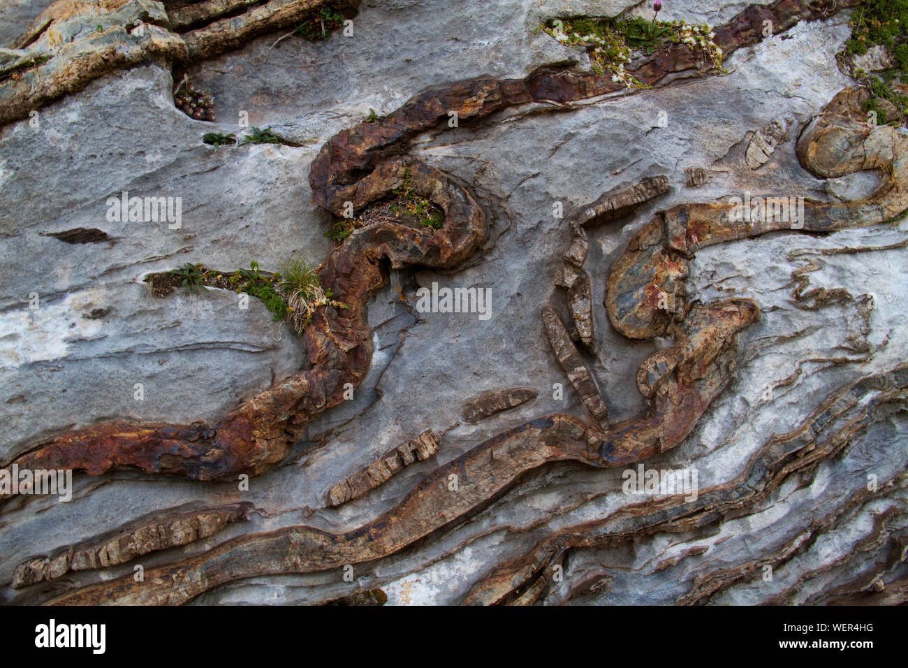 Deformato, strati curvo in rock Foto Stock