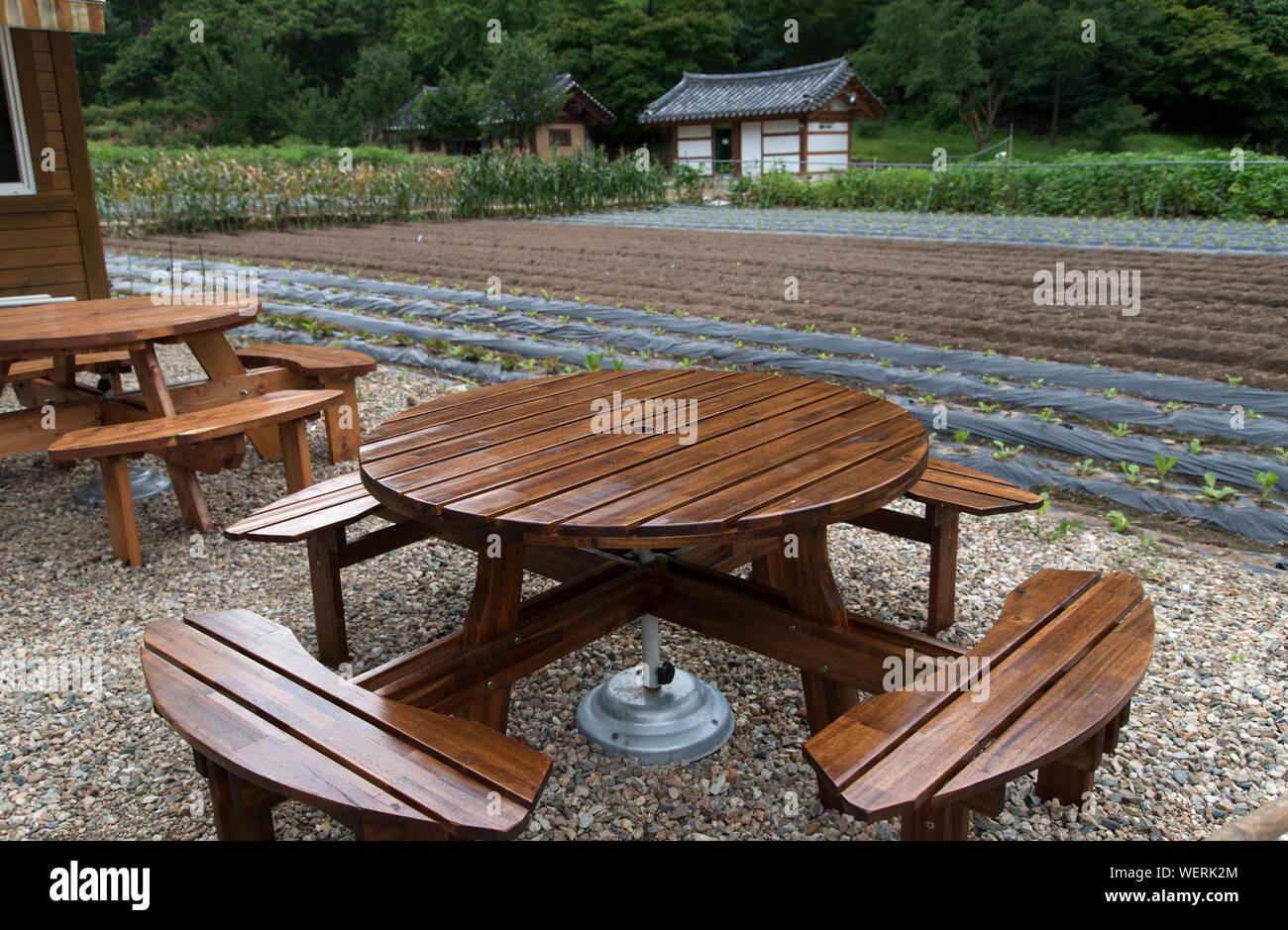 tavoli e panche in legno