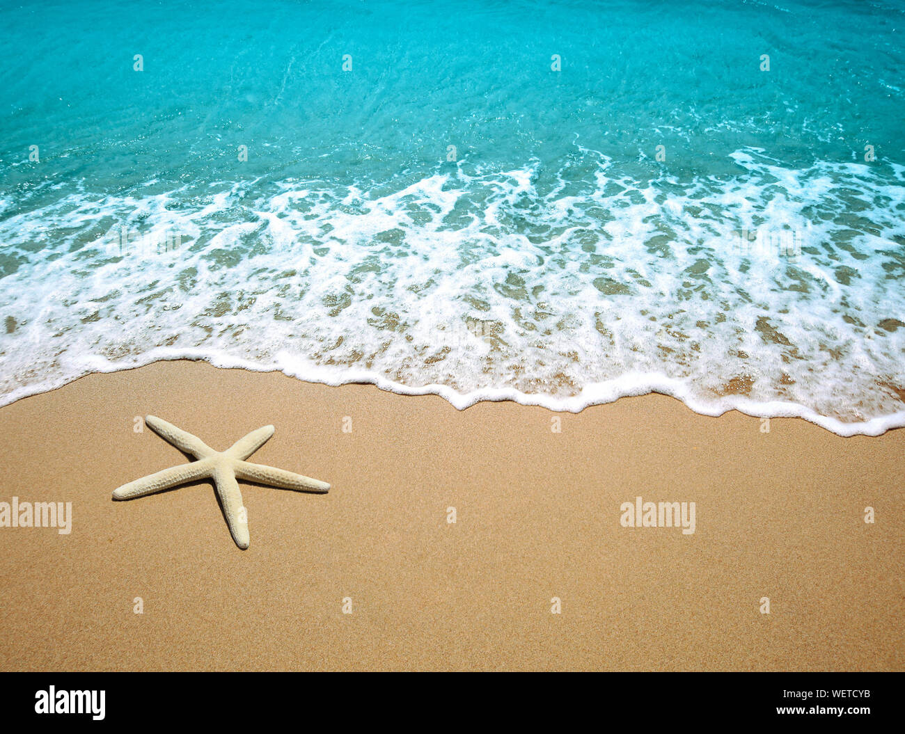 Stella di mare sulla spiaggia di sabbia Foto Stock