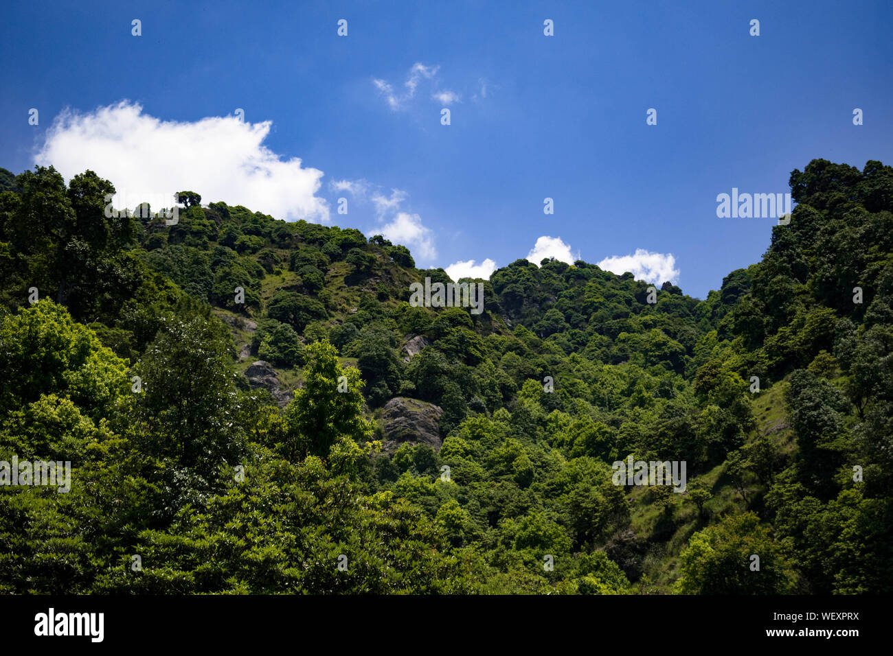 Una casa isolata o luoghi di soggiorno circondata da terrazza verde di allevamento delle regioni di montagna. Un posto eccezionale per la vita solitaria e escursionismo Foto Stock