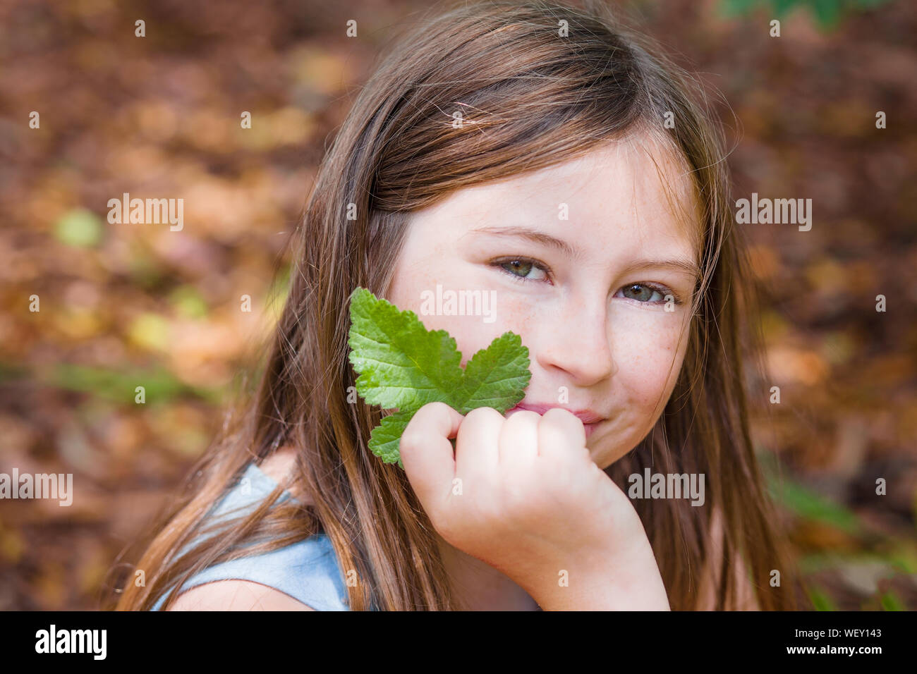 Ritratto di una ragazza con lunghi capelli castani, sorridente nella fotocamera e tenendo una foglia, in una foresta con autunno fogliame colorato in background, in Sonoma Foto Stock