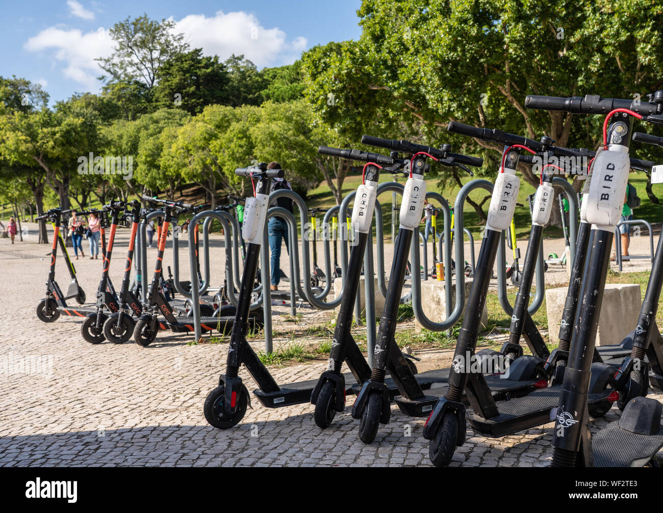 Bird e Circ scooter elettrici nel parco di Lisbona Foto Stock