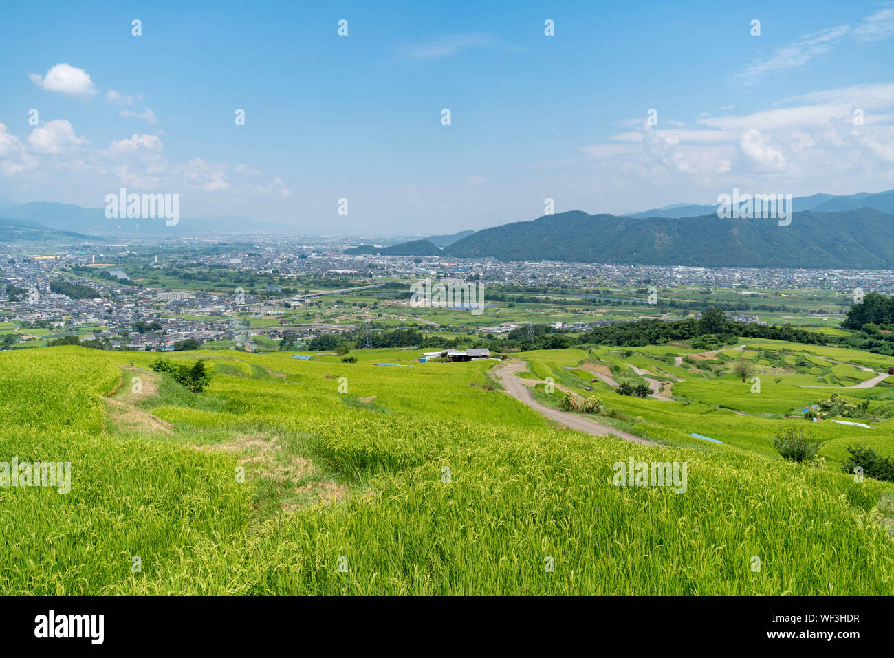 Riso Obasute terrazza, Chikuma Città, Prefettura di Nagano, Giappone Foto Stock