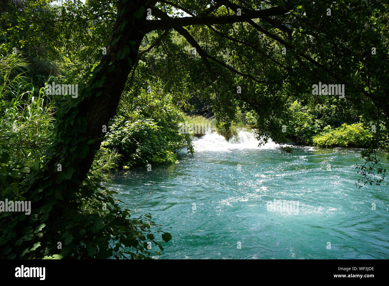 Belle cascate di Krka, Parco Nazionale di Krka, Croazia, Europa Foto Stock